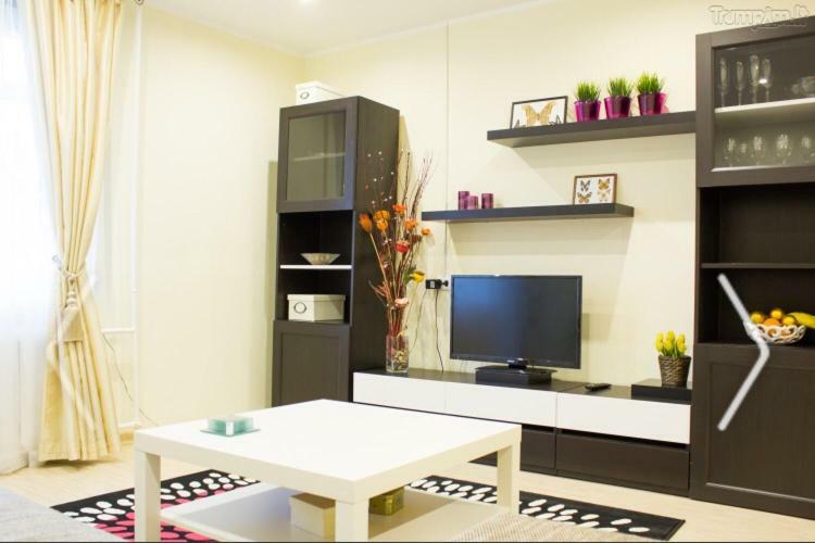 Du Draugai 1 Apartment Друскининкай Екстериор снимка